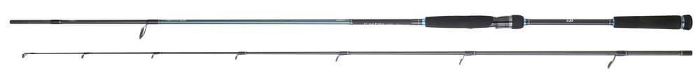 CAÑA CALDIA SEABASS 2025 DE DAIWA - Imagen 1