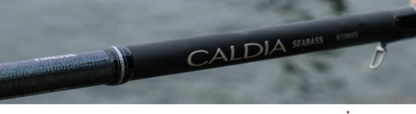 CAÑA CALDIA SEABASS 2025 DE DAIWA - Imagen 2