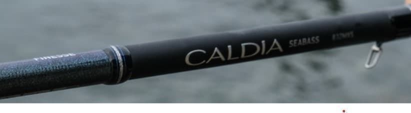 CAÑA CALDIA SEABASS 2025 DE DAIWA - Imagen 2