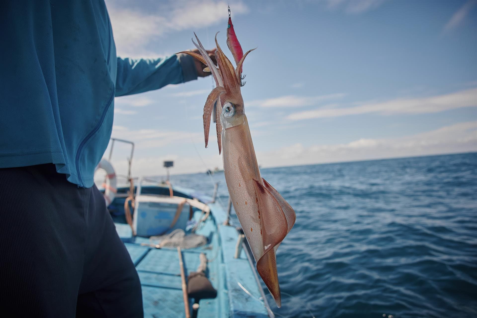 Tenemos poteras de calamar y todo lo que necesitas para la pesca eging