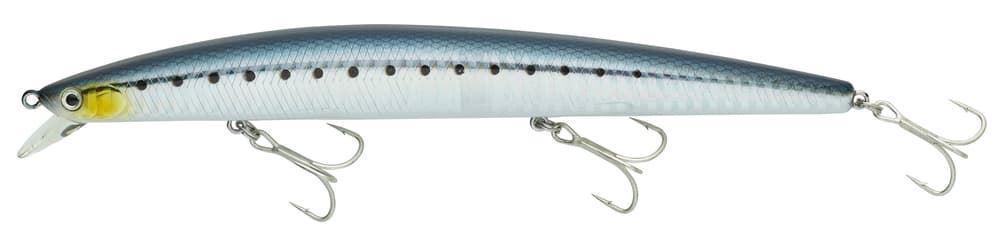 TOURNAMENT SHINER 170 SINKING - Imagen 2