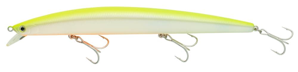 TOURNAMENT SHINER 170 - Imagen 6