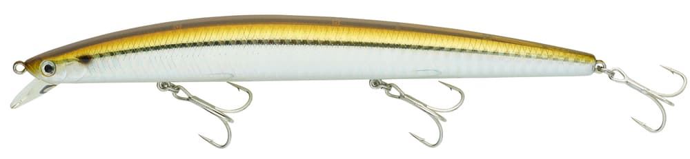 TOURNAMENT SHINER 170 - Imagen 7